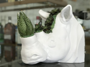 rhinoceros head 3D Print Model