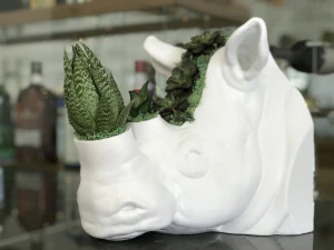 rhinoceros head 3D Print Model