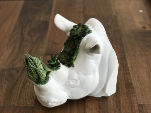 rhinoceros head 3D Print Model