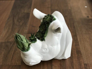 rhinoceros head 3D Print Model