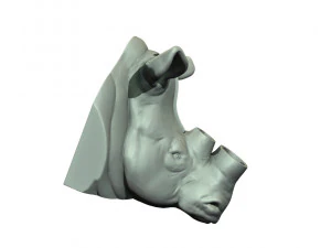 rhinoceros head 3D Print Model