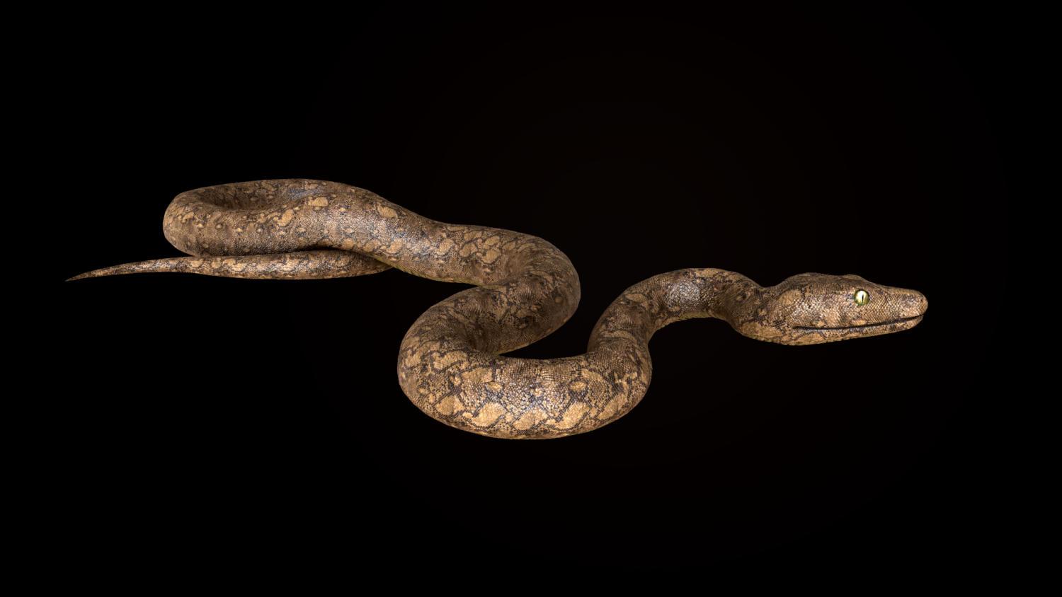 Python 3d модель