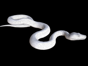 snake Model 3D