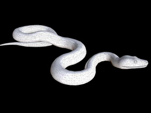 snake 3D Model