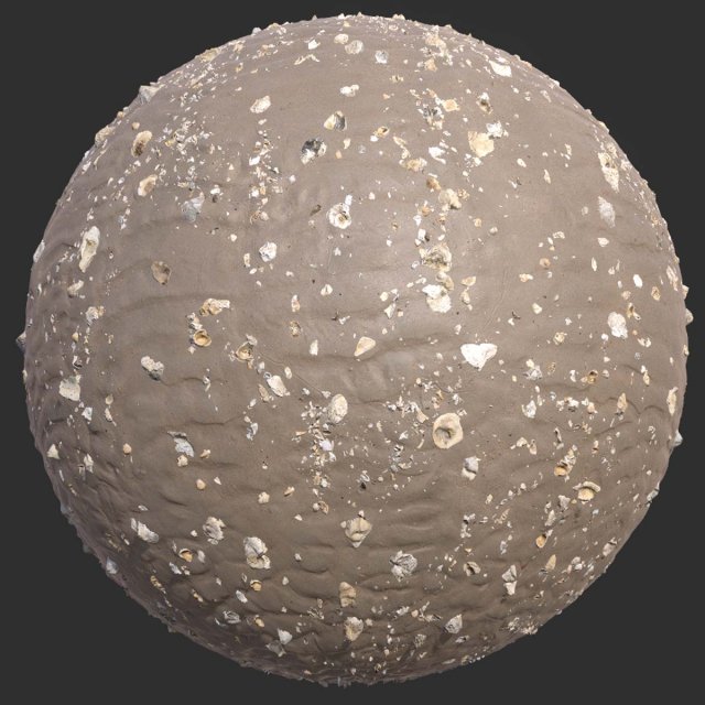 Broken Seashells on Rippled Sand Pbr 4k Texture CG Textures .c4d .max .obj .3ds .fbx .stl .blend 