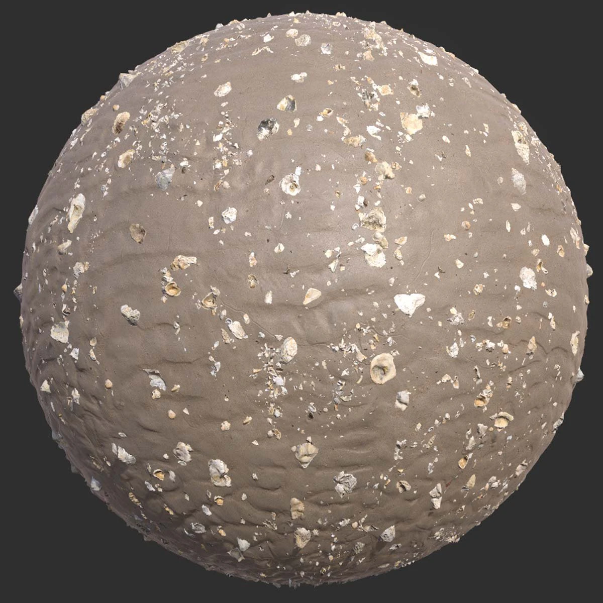 Broken Seashells on Rippled Sand Pbr 4k Texture CG Textures .c4d .max .obj .3ds .fbx .stl .blend 