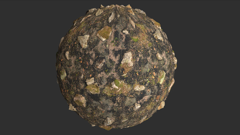 Fire Damage Forest Ground Rocks Pbr 4k Texture CG Texturen .c4d .max .obj .3ds .fbx .stl .blend