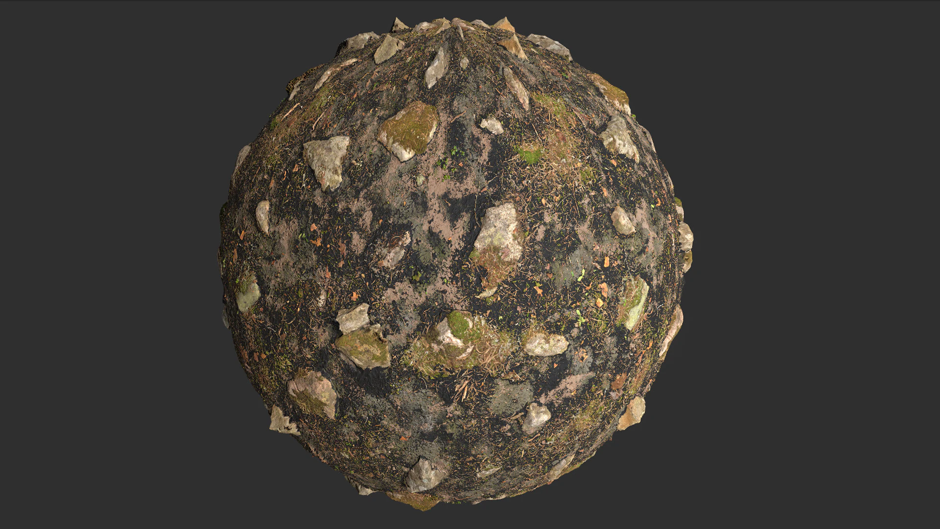 Fire Damage Forest Ground Rocks Pbr 4k Texture CG Textures .c4d .max .obj .3ds .fbx .stl .blend 