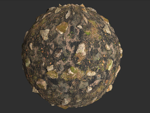 Fire Damage Forest Ground Rocks Pbr 4k Texture CG Texturen