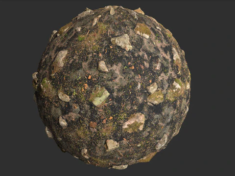 Fire Damage Forest Ground Rocks Pbr 4k Texture CG Textures