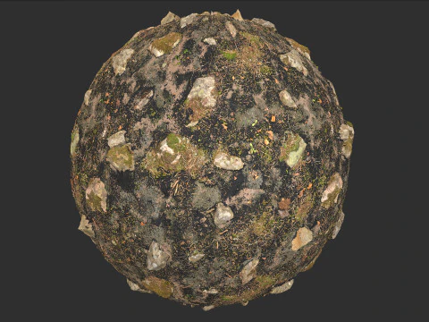 Fire Damage Forest Ground Rocks Pbr 4k Texture CG Textures