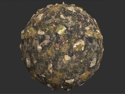 Fire Damage Forest Ground Rocks Pbr 4k Texture CG Textures
