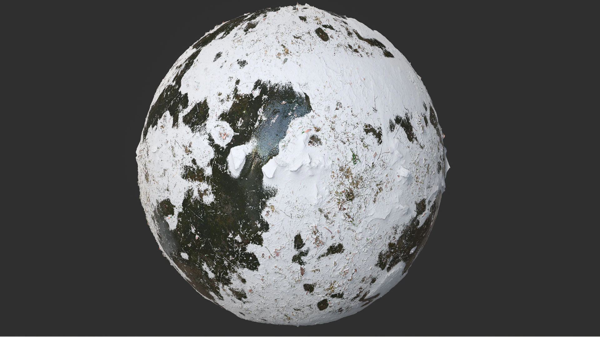 Snow Covered Swamp Forest Ground Pbr 4k Textures CG Textures .c4d .max .obj .3ds .fbx .stl .blend