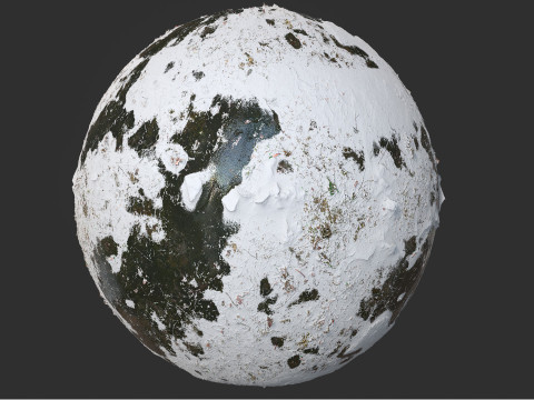 Snow Covered Swamp Forest Ground Pbr 4k Textures CG Textures