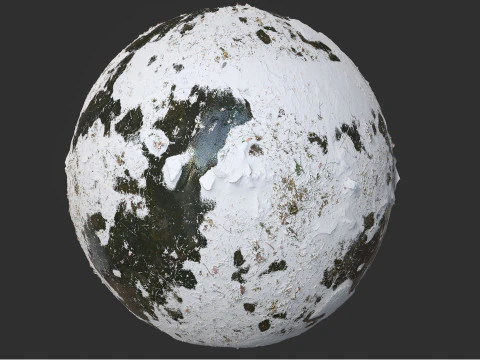 눈 덮힌 늪 숲 땅 Pbr 4k 텍스처 CG 텍스쳐