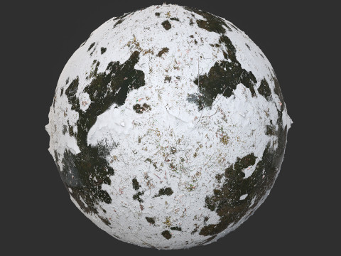 Snow Covered Swamp Forest Ground Pbr 4k Textures CG Texturen