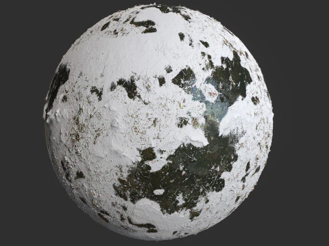 Snow Covered Swamp Forest Ground Pbr 4k Textures CG Textures