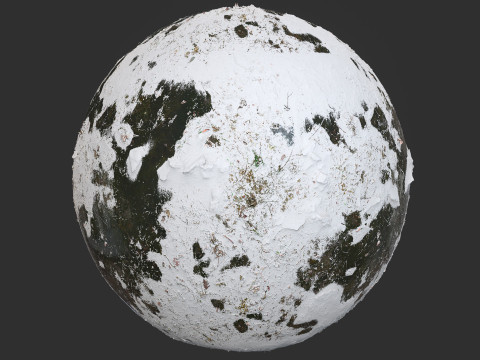 Snow Covered Swamp Forest Ground Pbr 4k Textures CG Texturen