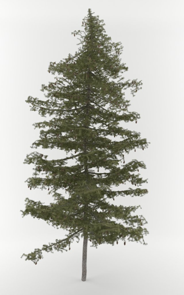3d pine tree pack 3D Модель .c4d .max .obj .3ds .fbx .stl .blend 