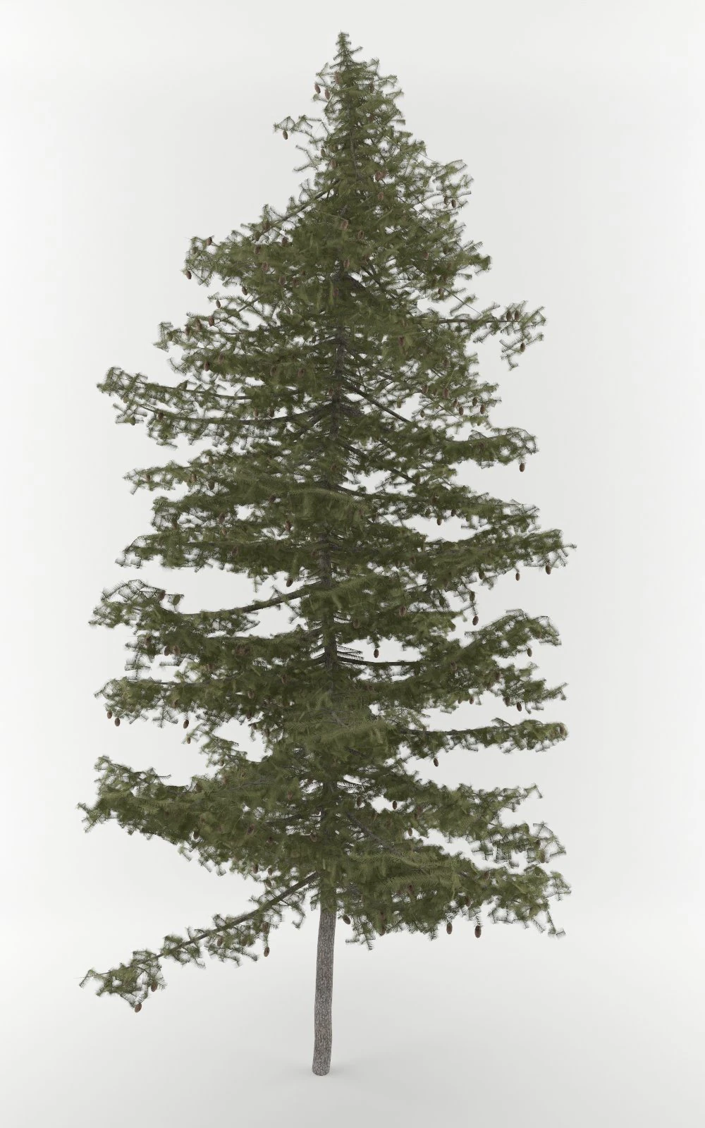 3d pine tree pack 3D Model .c4d .max .obj .3ds .fbx .stl .blend 