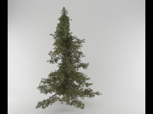 3d pine tree pack 3D Модель