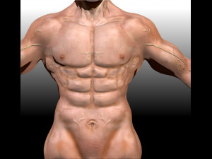 super realistic man Model 3D
