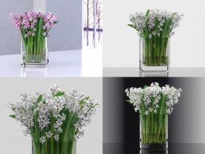 hyacinth model 3D Model