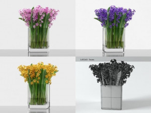 hyacinth model 3D Model