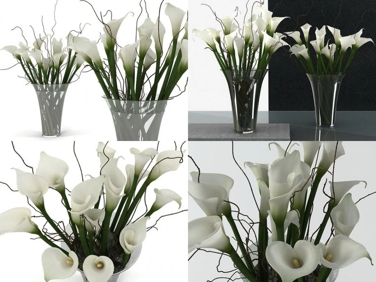 calla lily high 3D Model .c4d .max .obj .3ds .fbx .stl .blend 
