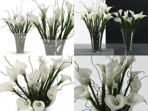 calla lily high Modello 3D
