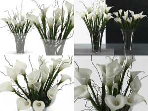 calla lily tinggi Model 3D