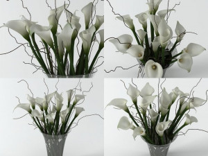 calla lily high Modello 3D