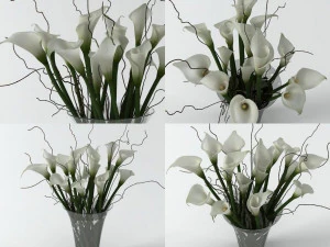 calla lily high 3D Model