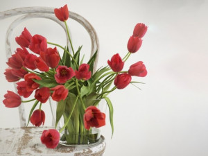 tulips 01 Modello 3D