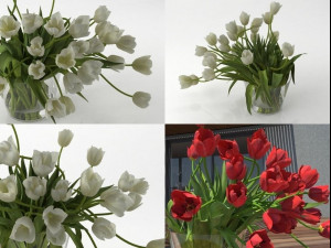 tulips 01 Modello 3D