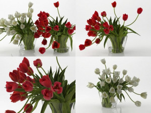 tulips 01 Modello 3D