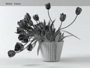 tulips 01 Modello 3D