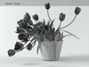 tulips 01 3D Model