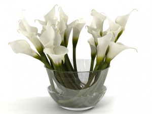 calla lily Modello 3D