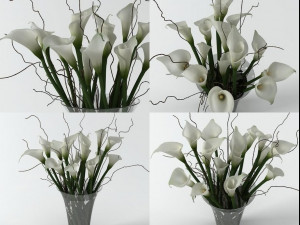 calla lily Modelo 3D