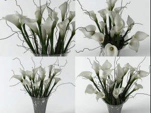 calla lily 3D Model