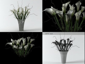 calla lily Modelo 3D
