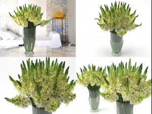 ornithogalums 02 3D Model