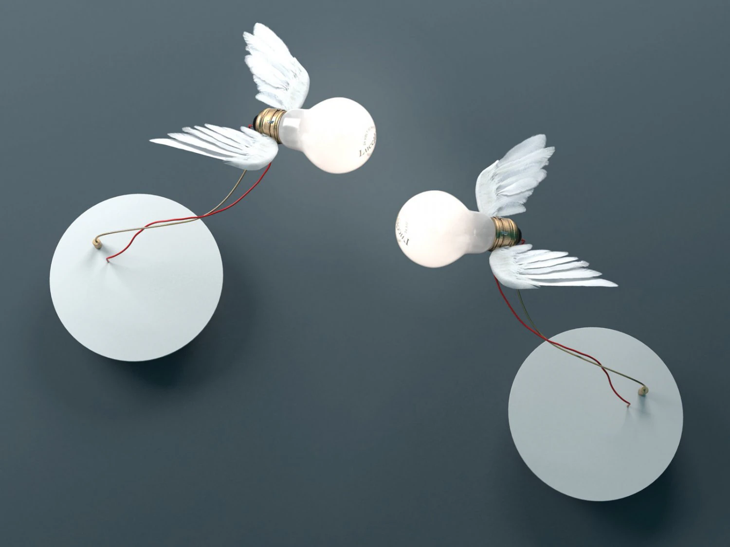 lucellino nt by ingo maurer 3D Model .c4d .max .obj .3ds .fbx .stl .blend 