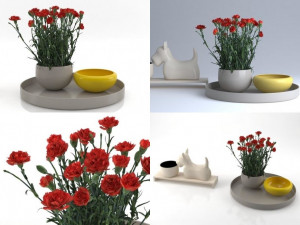 carnations 01 3D मॉडल
