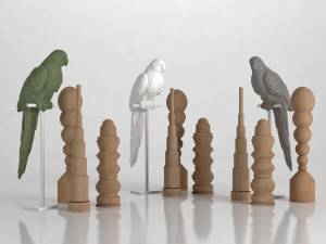 parrot set 3D Model