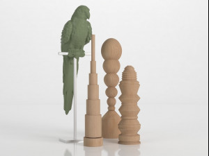 parrot set Model 3D