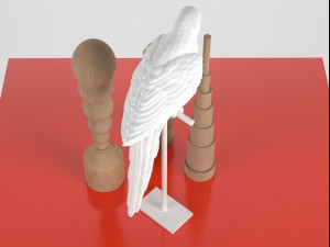 parrot set Model 3D
