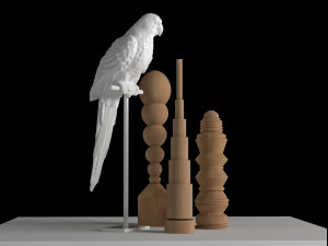 parrot set Model 3D