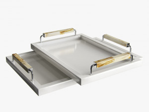 arcahorn trays Modelo 3D
